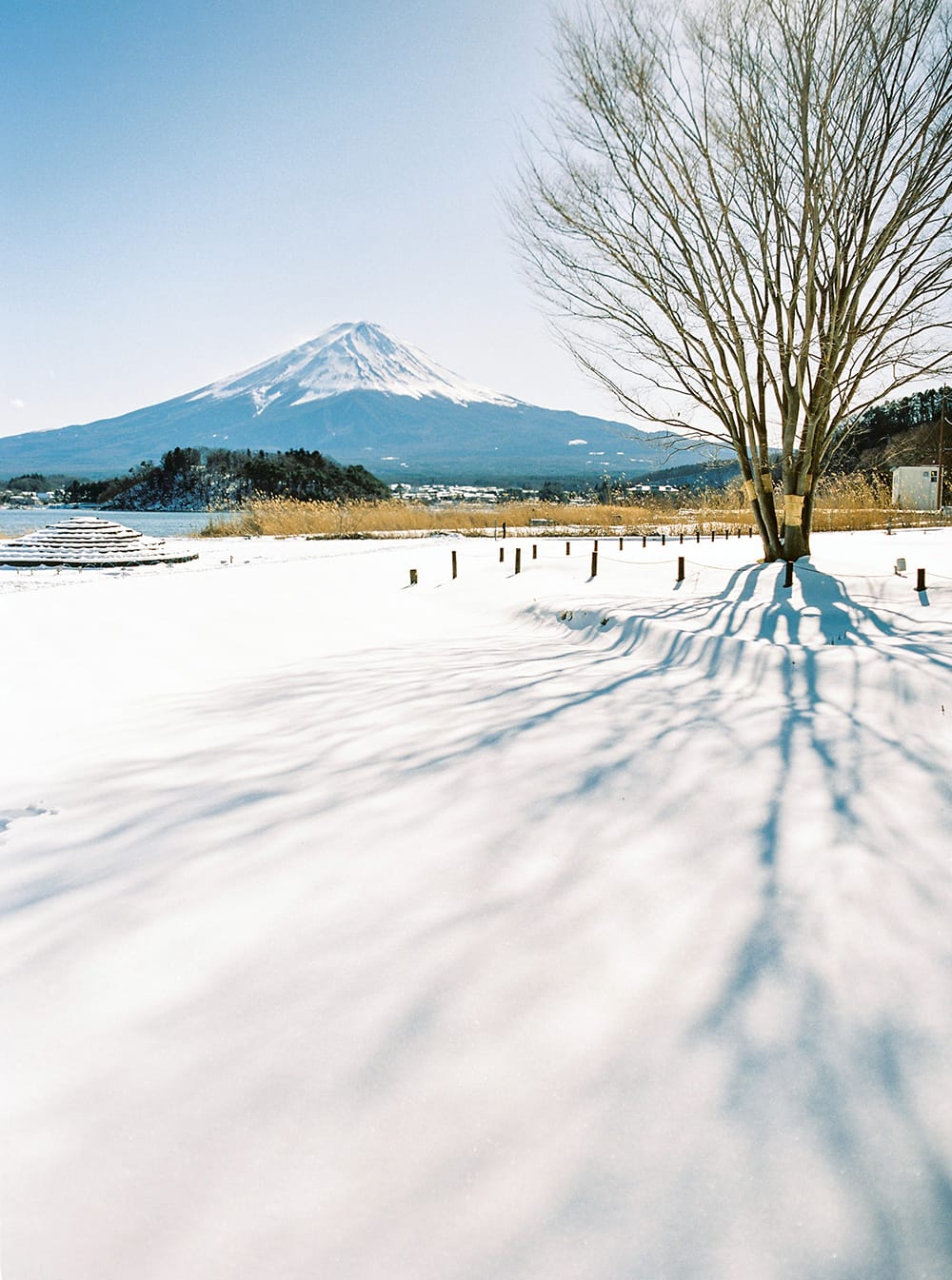 Brancoprata - Wedding Photography and design - Travel to Japan