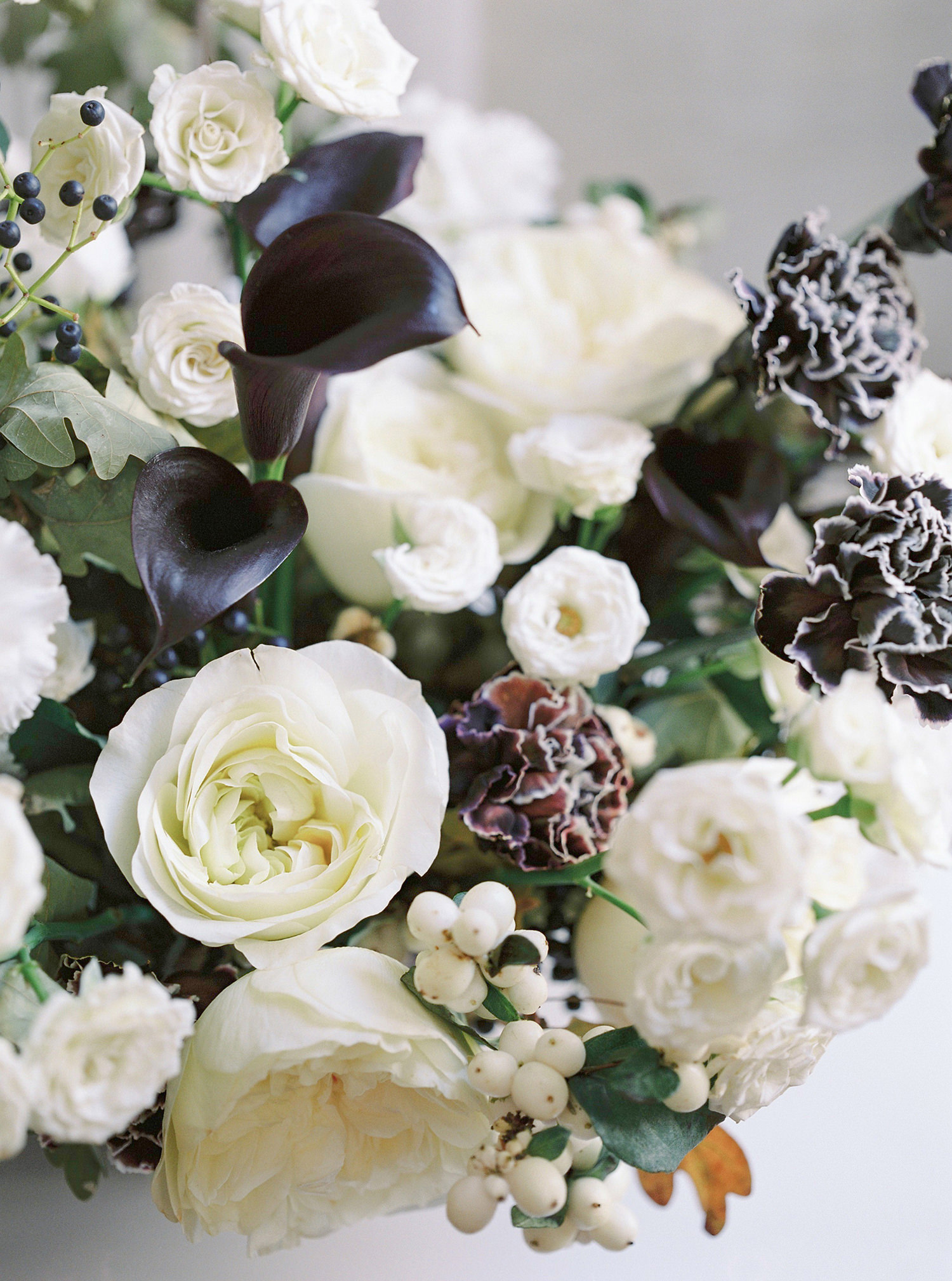 Winter elopement in the city