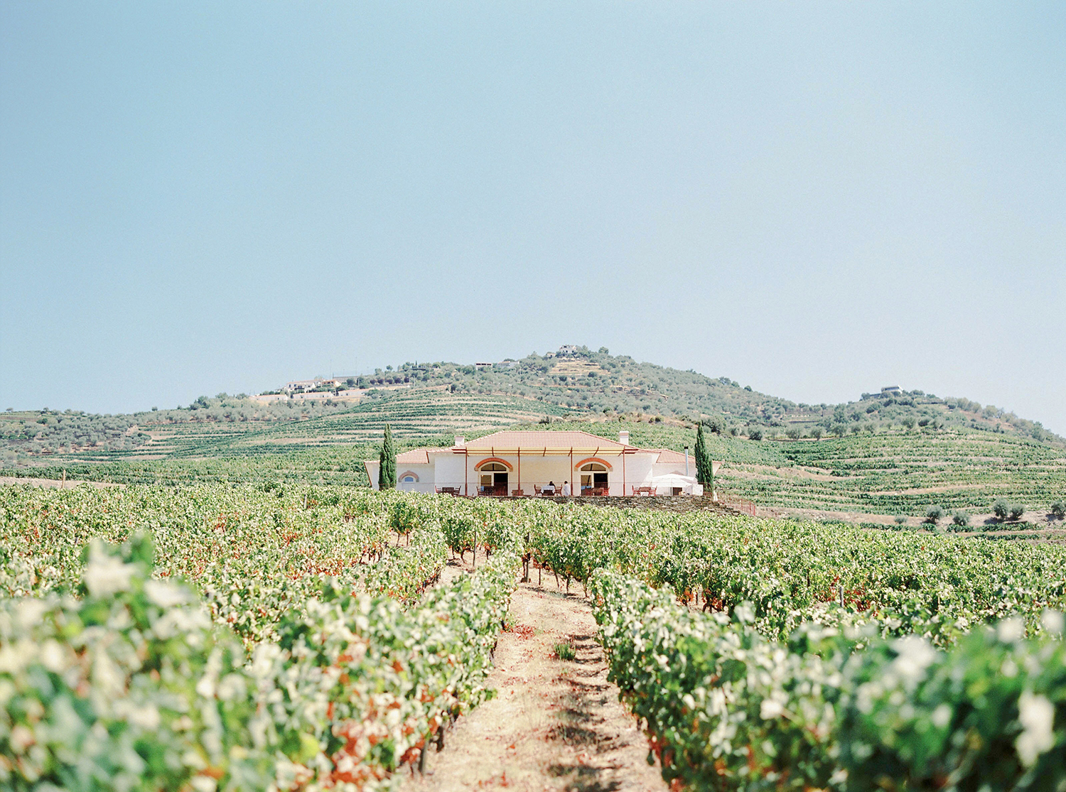 Douro Valley Brancoprata experience