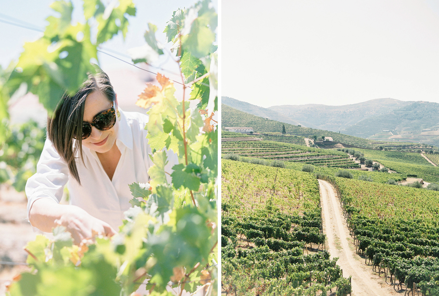 Douro Valley Brancoprata experience