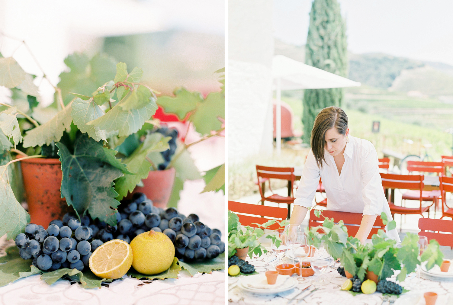 Douro Valley Brancoprata experience