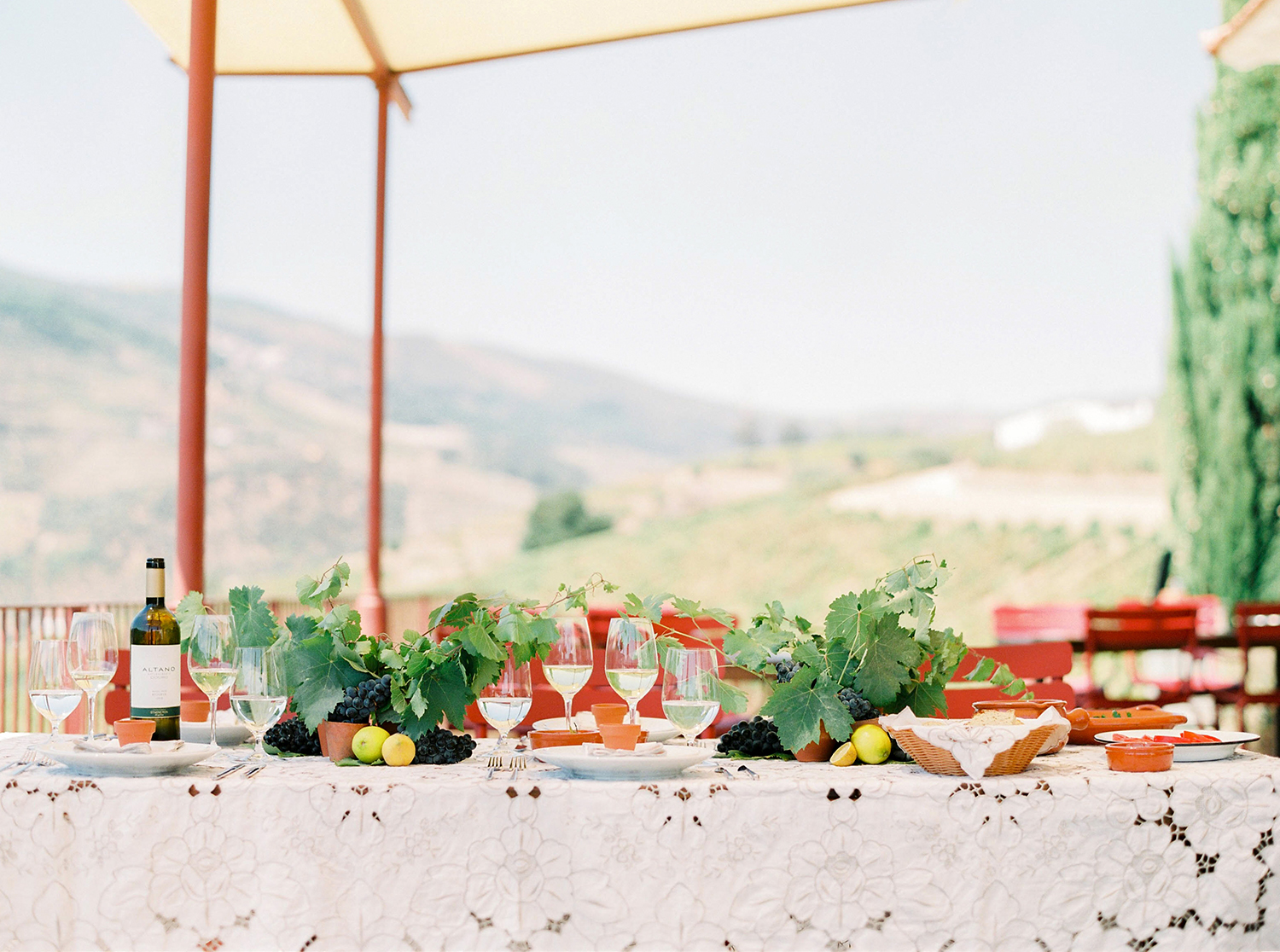 Douro Valley an experience by Brancoprata