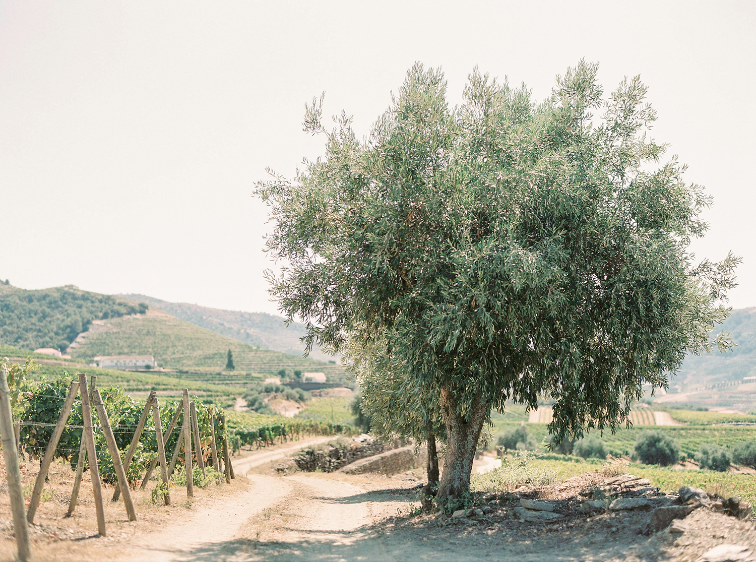 Douro Valley Portugal