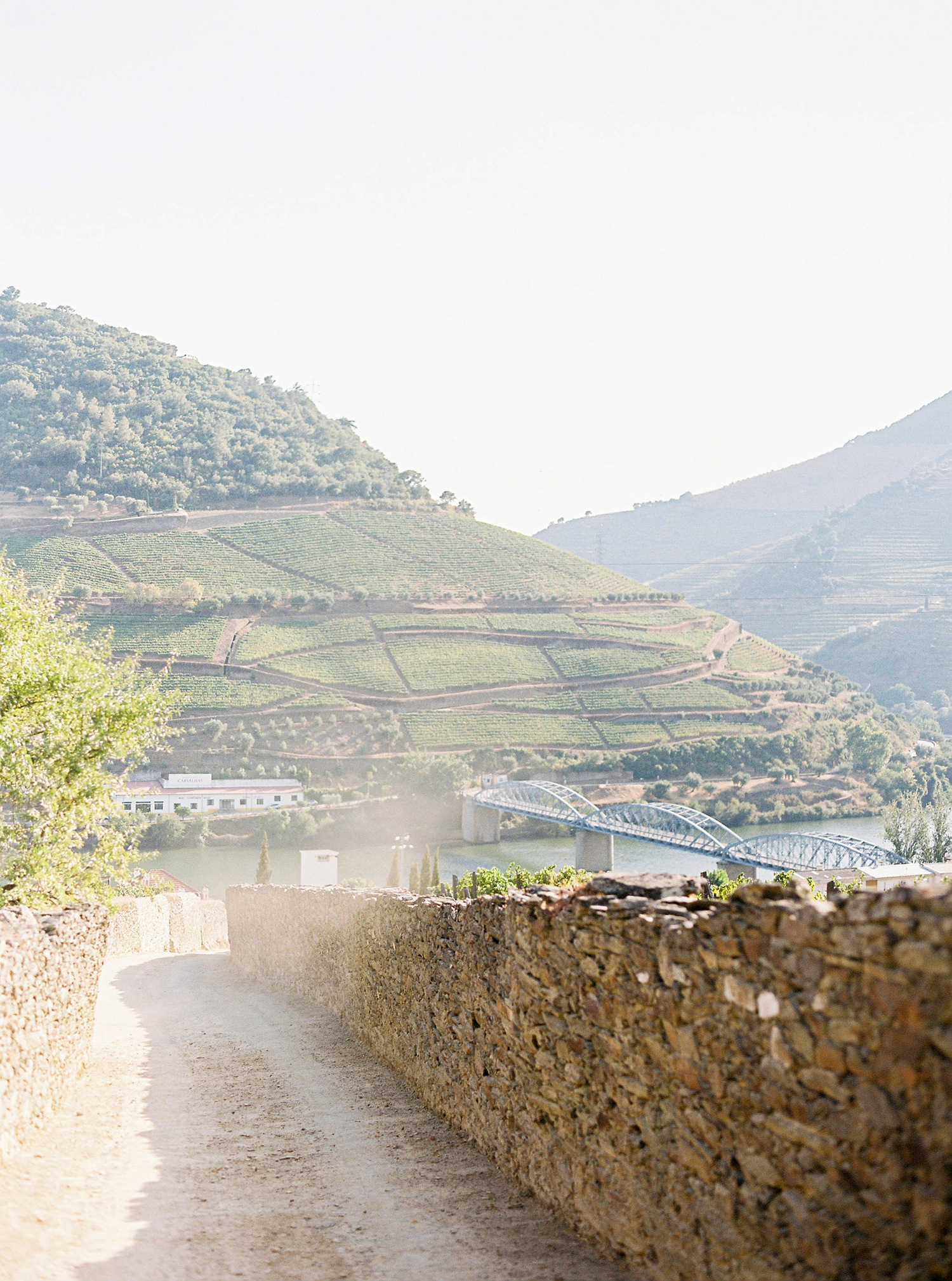 Douro Valley Portugal