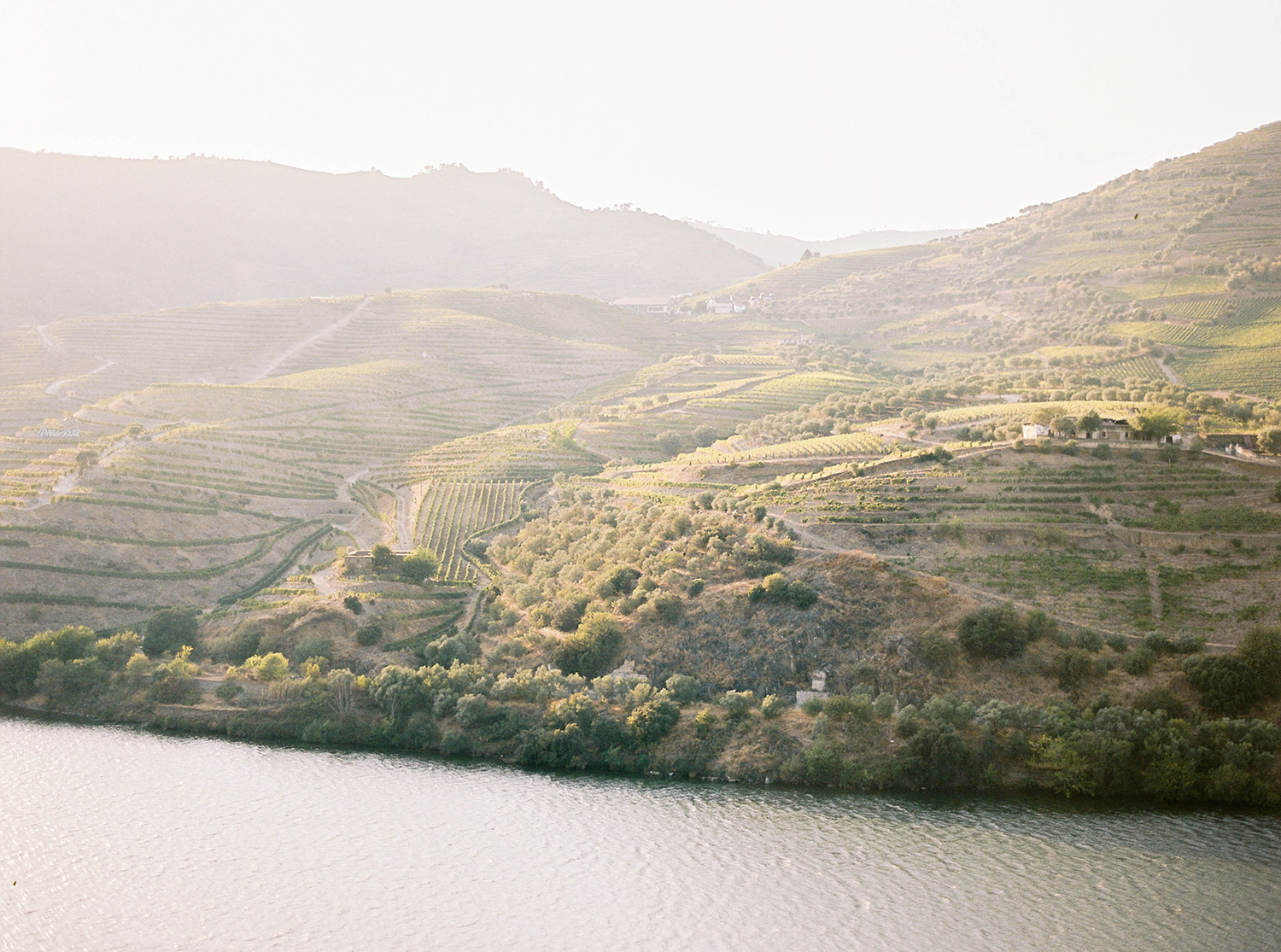 Douro Valley Portugal