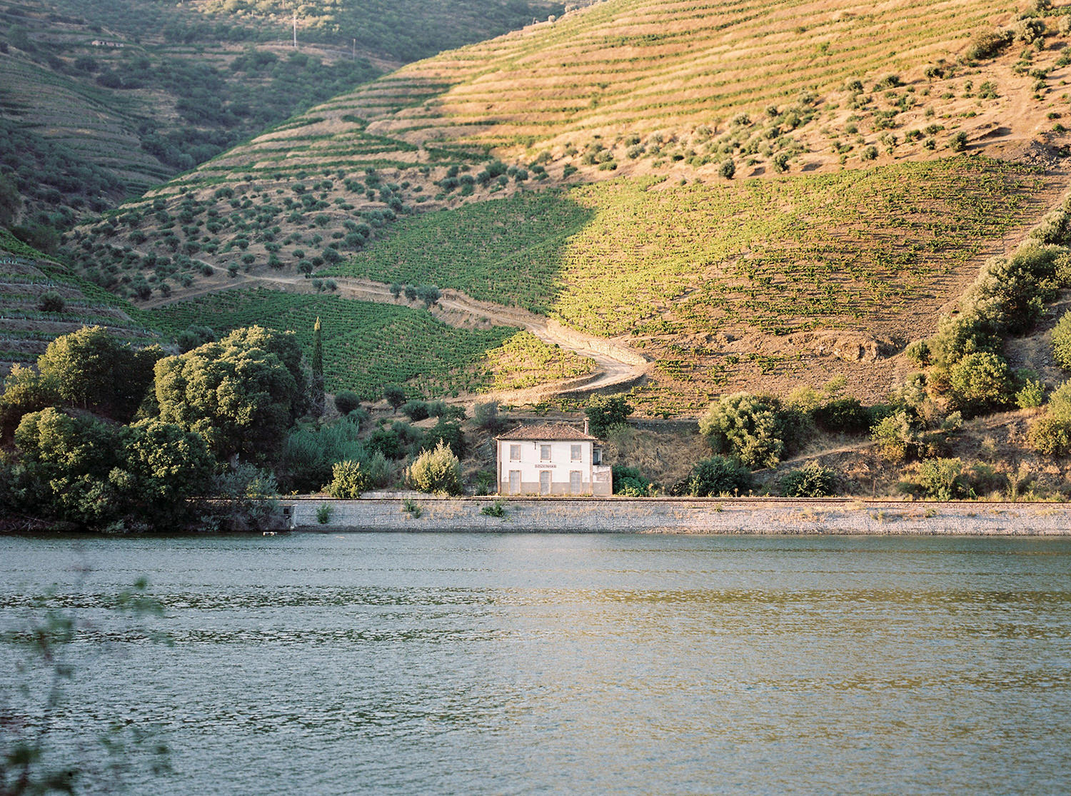 Douro Valley Portugal