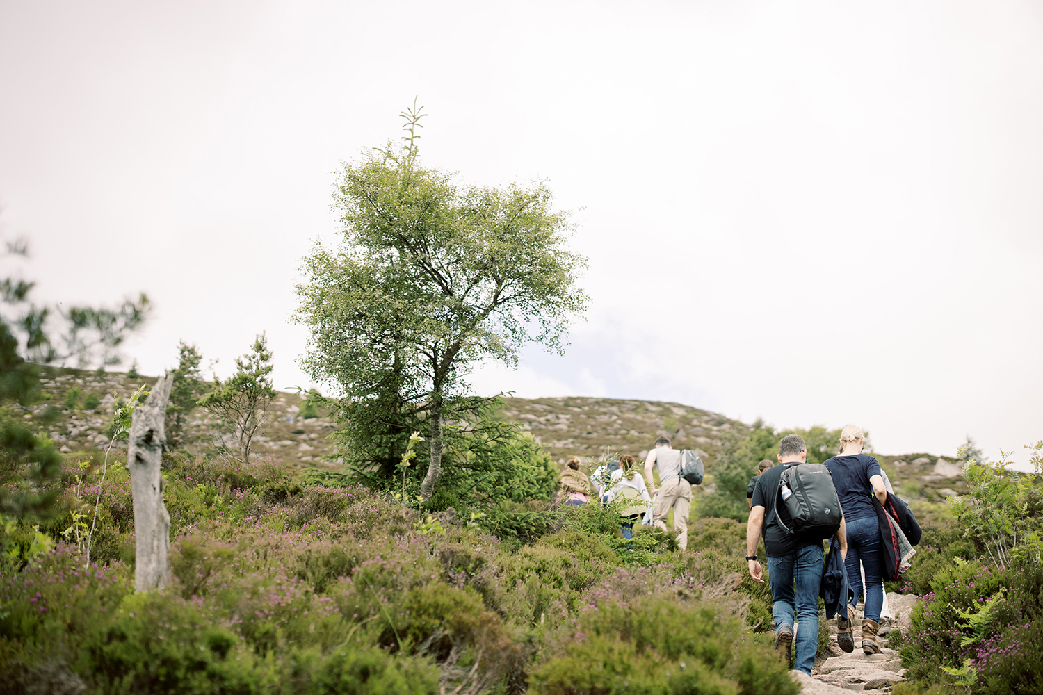 Surprise birthday party in Scotland