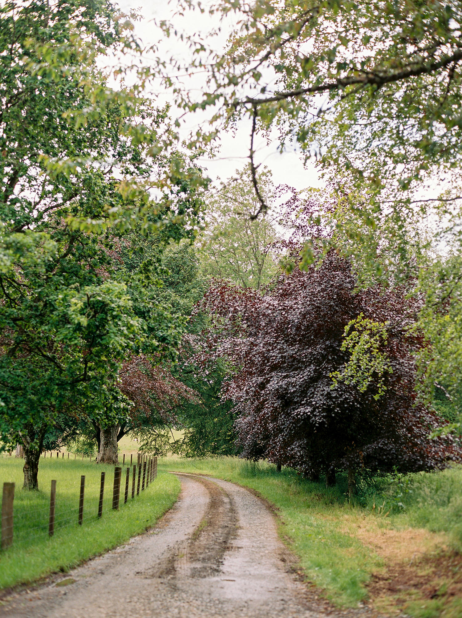 Scottish landscape