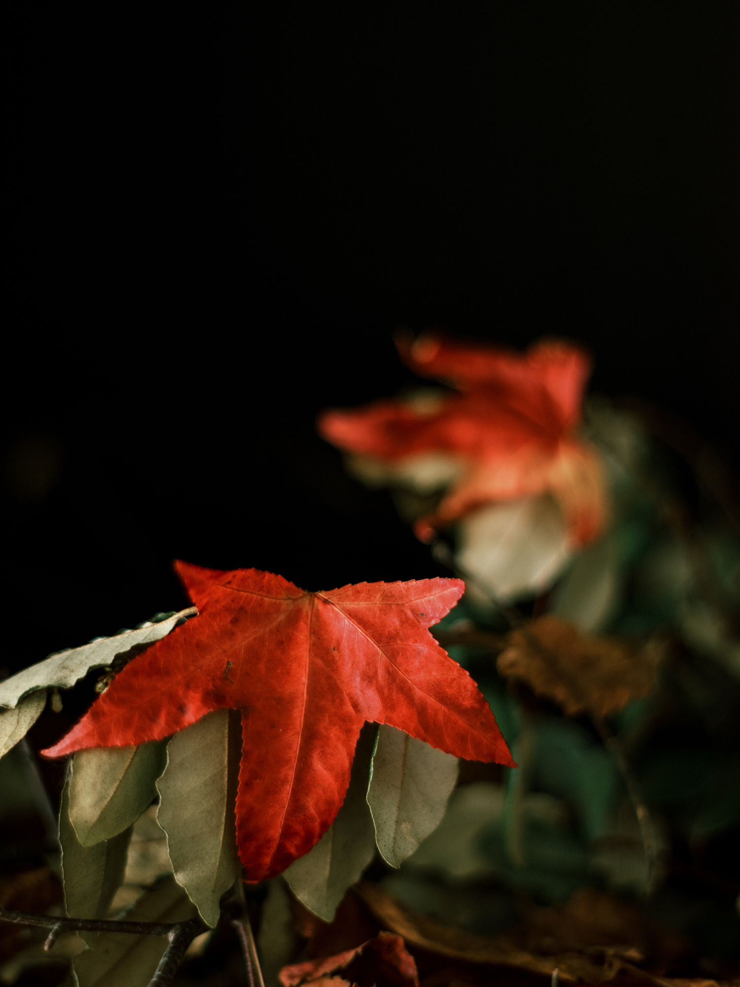 Creative direction and styling for a workshop