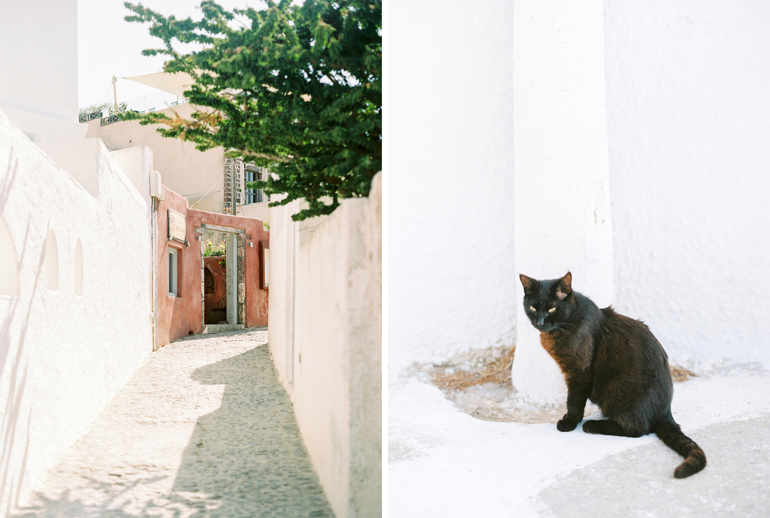 Island life in Santorini.