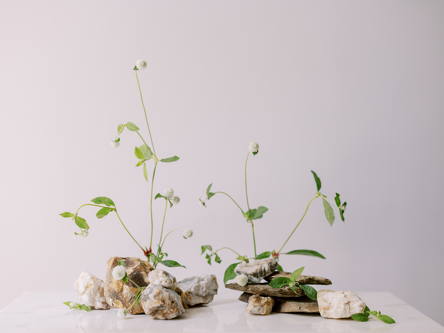 Floral design minimalist approach