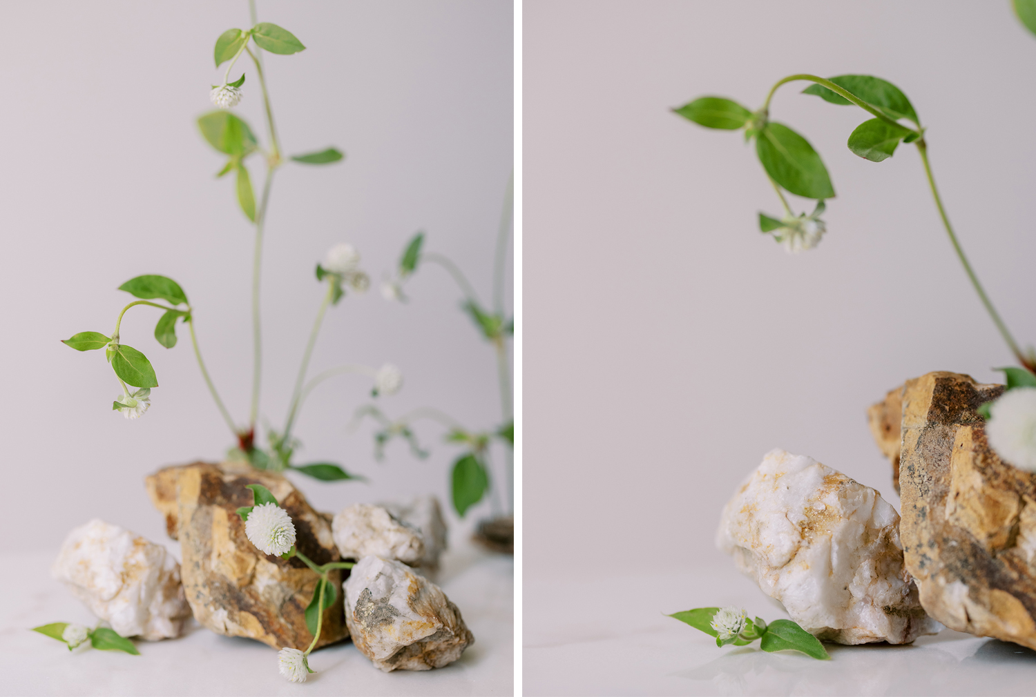 Floral design minimalist approach