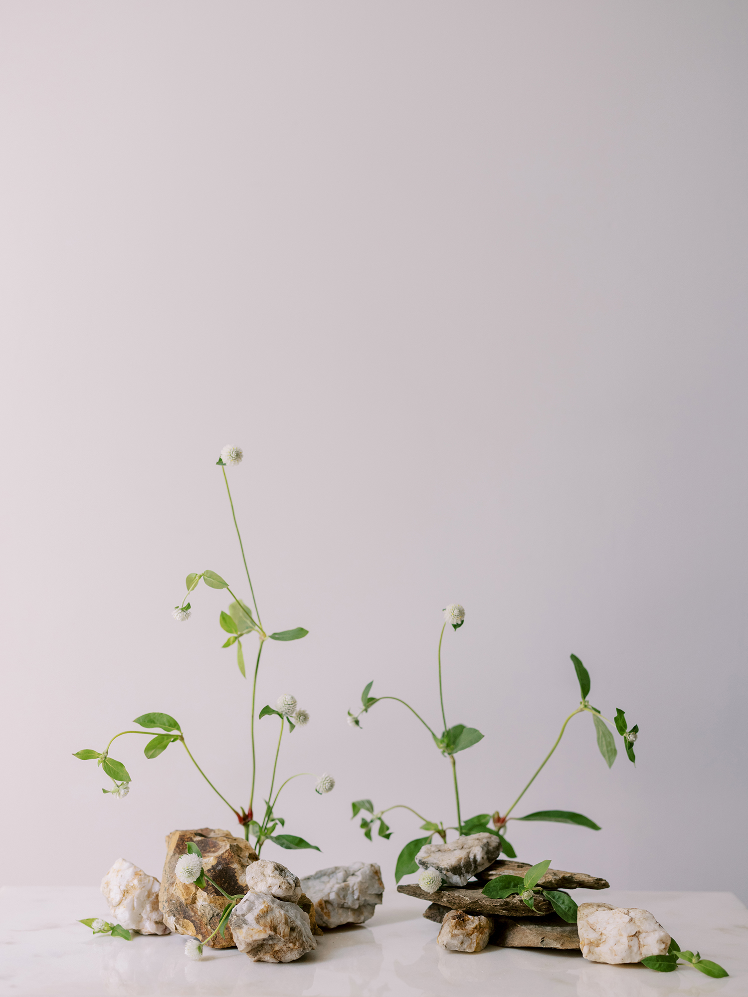 Floral design minimalist approach