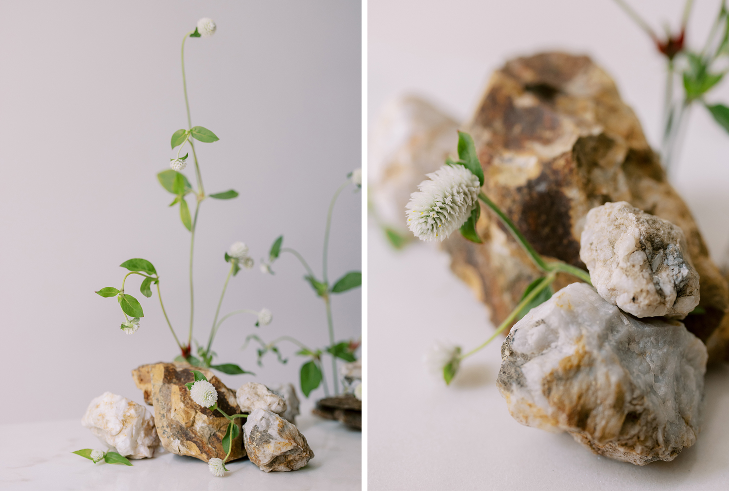 Floral design minimalist approach